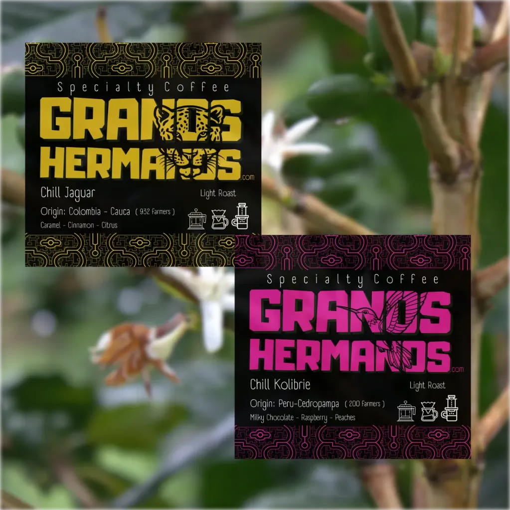 Chill Bros - Taste pack [2x150gr.]